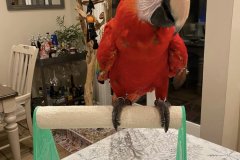 330413972_614691570502445_9019989176663999923_n