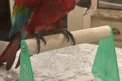 330607964_3435637723381489_8119640669339348486_n