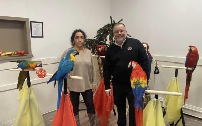 Get Involved: Join the Movement for Positive Change