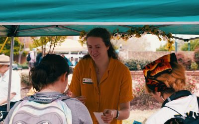 Volunteer Organization: How One Local Charity is Making a Difference